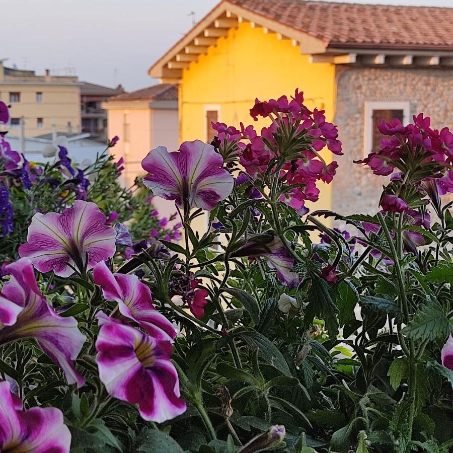 Lovely Casa Paola Villlafranca Centro Zimmer Rooms Villafranca di Verona Eksteriør bilde